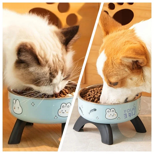 Elevated Stainless Steel Pet Bowl